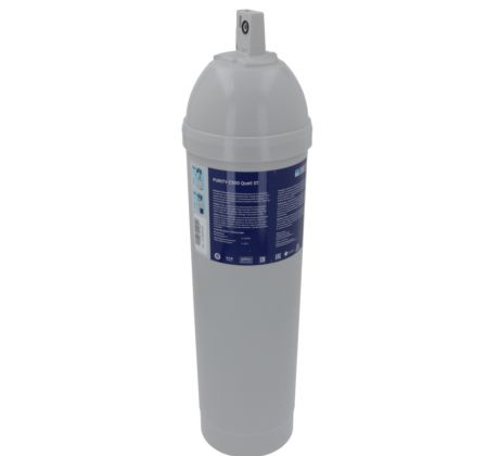 Cartridge Purity C 500